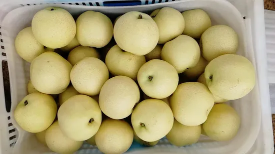 Fresh Ya Pear