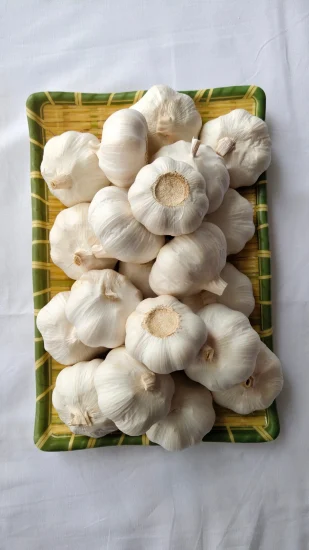 Top Quality Fresh Peeled Garlic