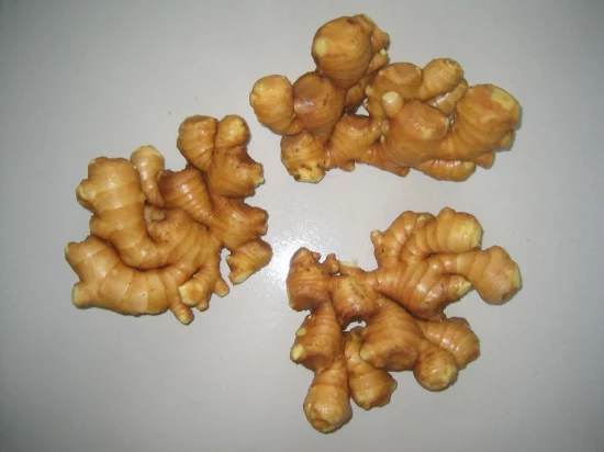 Air Dry Ginger in Premium Quality with Different Sizes for Export From Shandong Province