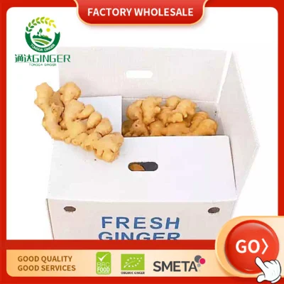 Fresh Dried Ginger Price Per Kg Dry Ginger Chinese Low Price New Crop High Quality Ginger Fresh Powder Organic Ginger for Wholesale