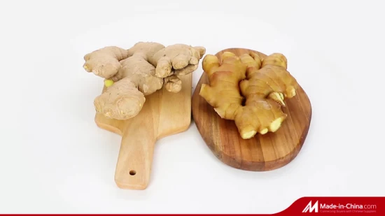 Chinese Agriculture Health Food Fresh Ginger with Brc Smeta Organic Certificate