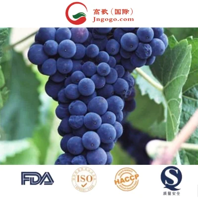 Top Quality Crimson Seedless Shine Muscat Black Grapes