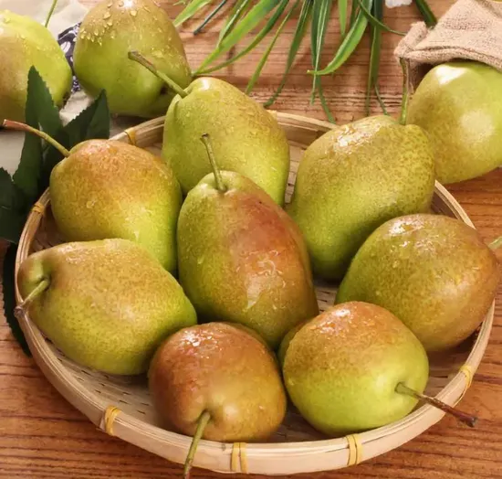 Chinese Fresh Yellow Ya Pear