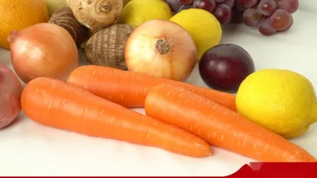 Good Quality Chinese Fresh Carrot