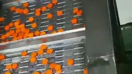 Export Standard Frozen Sliced Carrot