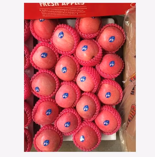 Yantai Red FUJI Apple Blush