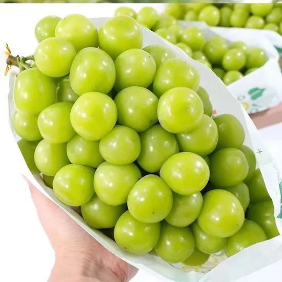 High Quality Bqf Peeled Grapes, Bqf Frozen Peeled Grapes, Bqf Grapes Meat, Frozen Grapes Meat, Bqf Peeled Seedless Grapes, Bqf Grapes Pulp, Peeled, Seedless