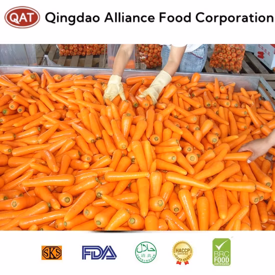 Export Standard Frozen Sliced Carrot