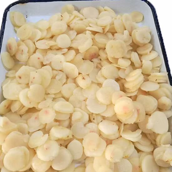 Canned Water Chestnut Whole/ Slices/ Dices in Tin 2950g