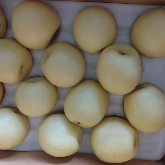 Chinese Fresh Yellow Ya Pear
