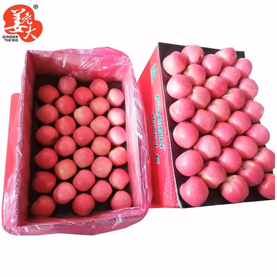 Good Quality Full Red Color 2020 Year New Crop FUJI Apple