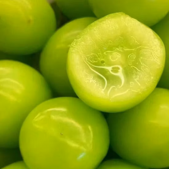 Delicious Fresh Grapes Price Fruit Organic Fresh Grape