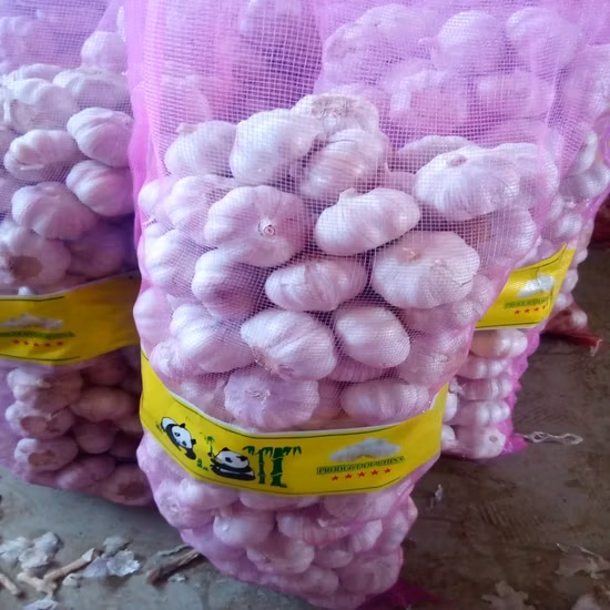 2020 New Crop Fresh Normal White Red Chinese Garlic