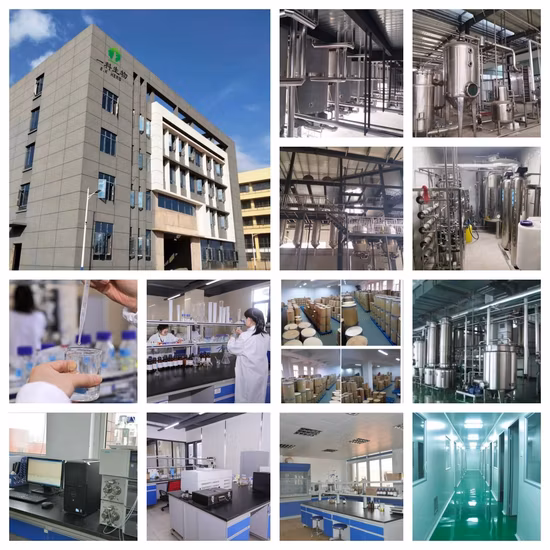 Plant Extract 20%-98% Aescin 6805-41-0 Horse Chestnut Extract